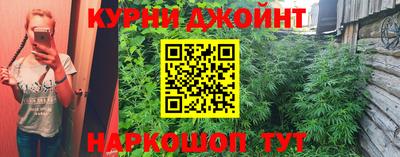 дживик Бийск