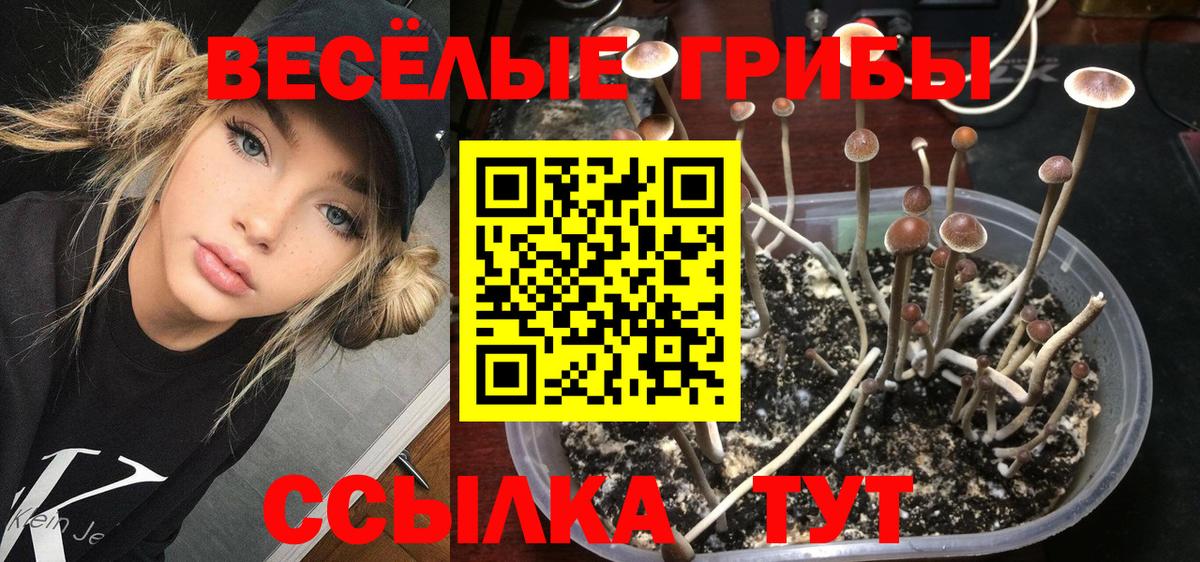 Псилоцибиновые грибы мицелий Артём