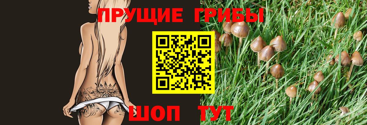 Галлюциногенные грибы мицелий Артём