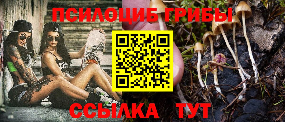 Галлюциногенные грибы MAGIC MUSHROOMS  купить наркоту  Артём 